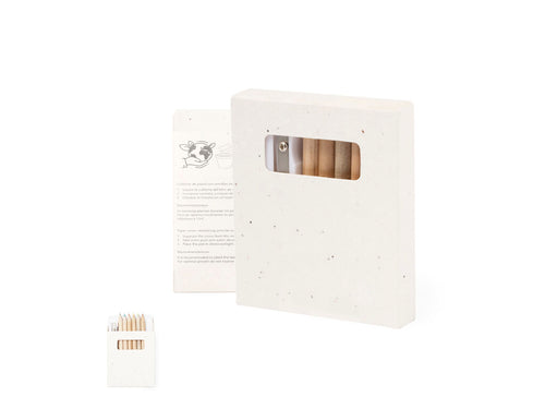 Set of 6 pencils with colouring templates and pencil sharpener, presented in a natural cardboard box with seeds - Elaris Personalised