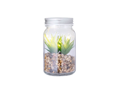 Decorative plant on a base of stones, in a borosilicate glass jar - Kyala Personalised