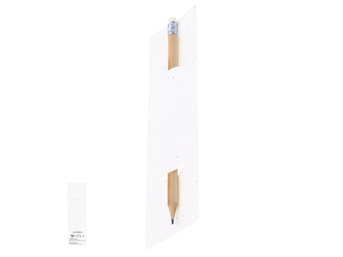 Practical cylindrical pencil presented in seed paper case, made from soft natural wood with eraser - Meron Personalised