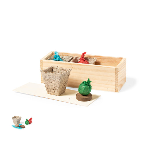 Garden kit with coriander, parsley and basil seeds - Mendrax Personalised