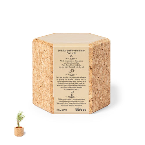 Pot in nature line with pine seeds - Gulytel Personalised