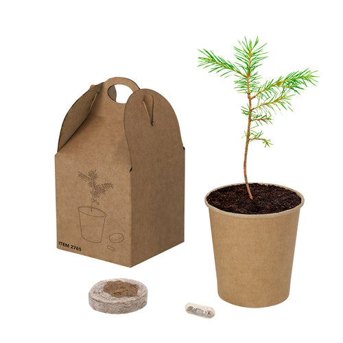 Pot with pine seeds - Vencor Personalised