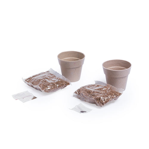Set of 2 pots with peppermint seeds and parsley in nature line pot - Nertel Personalised