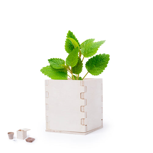 Peppermint with nature line pot - Merin Personalised