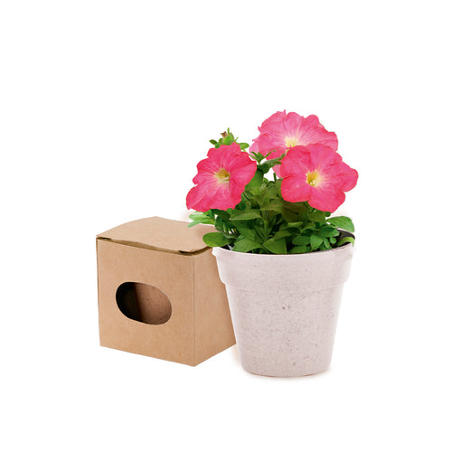 Nature line pot with Petunia seeds - Advert Personalised
